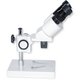 Binocular Microscope XTX-2A (10x; 2x)